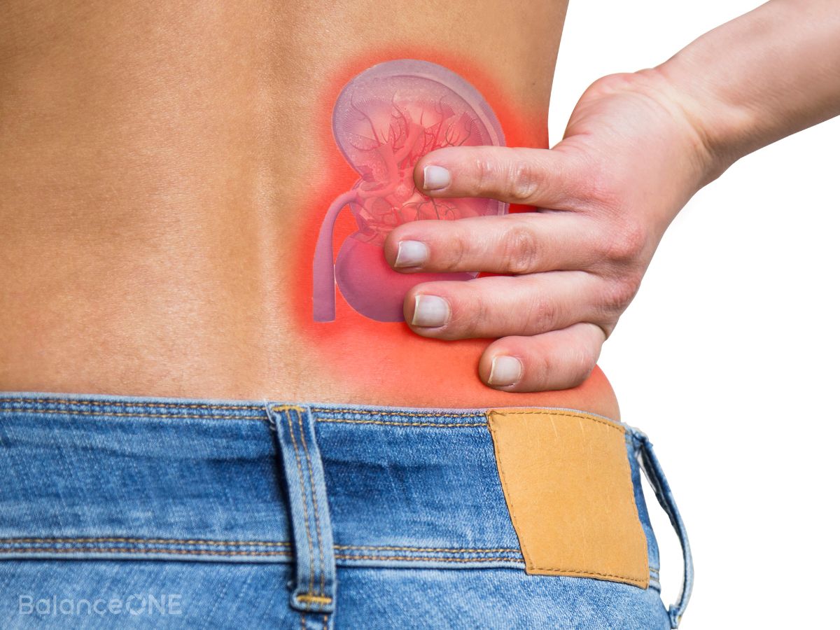 Can Probiotics Help With Chronic Kidney Disease? - Balance ONE