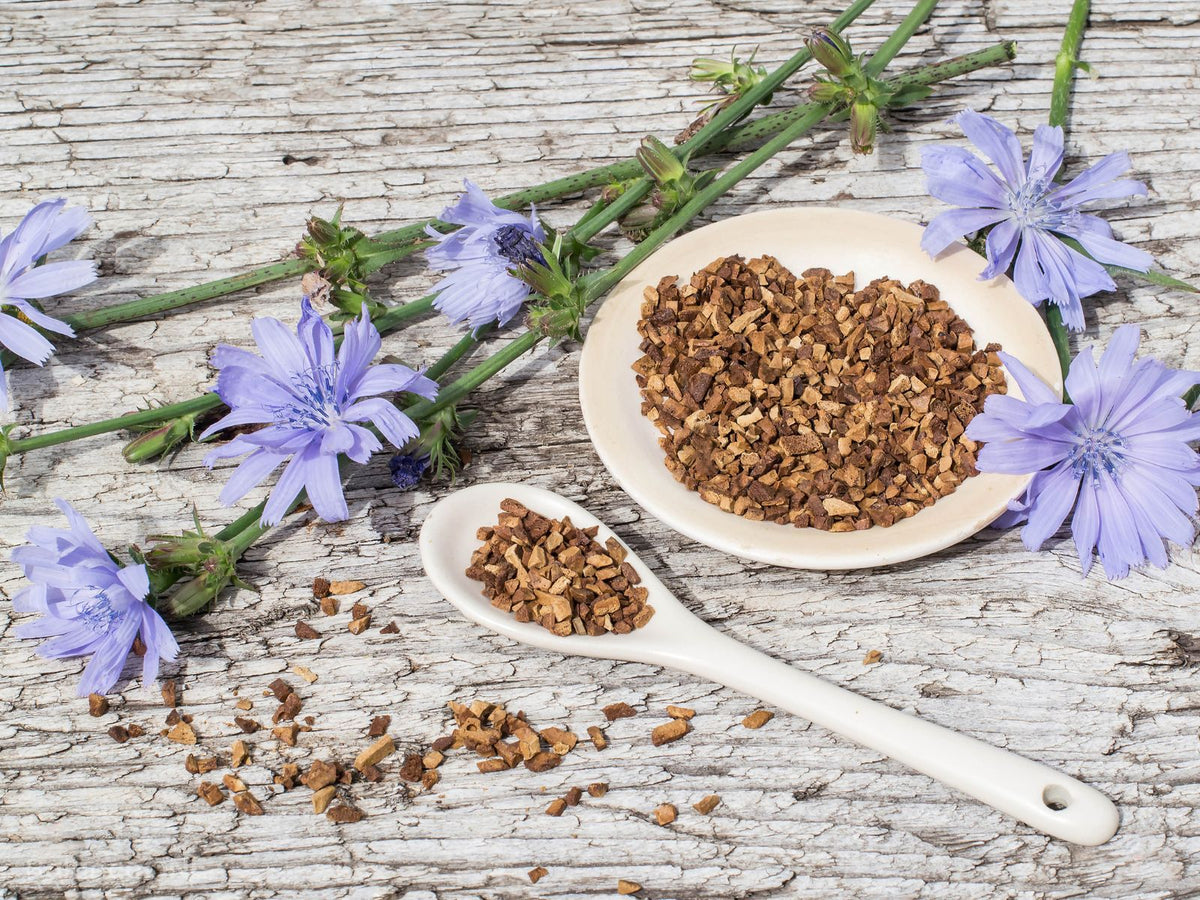 Lactobacillus Salivarius: Benefits, Foods & How to Take