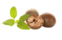 Monk Fruit Extract