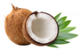 Caprylic Acid