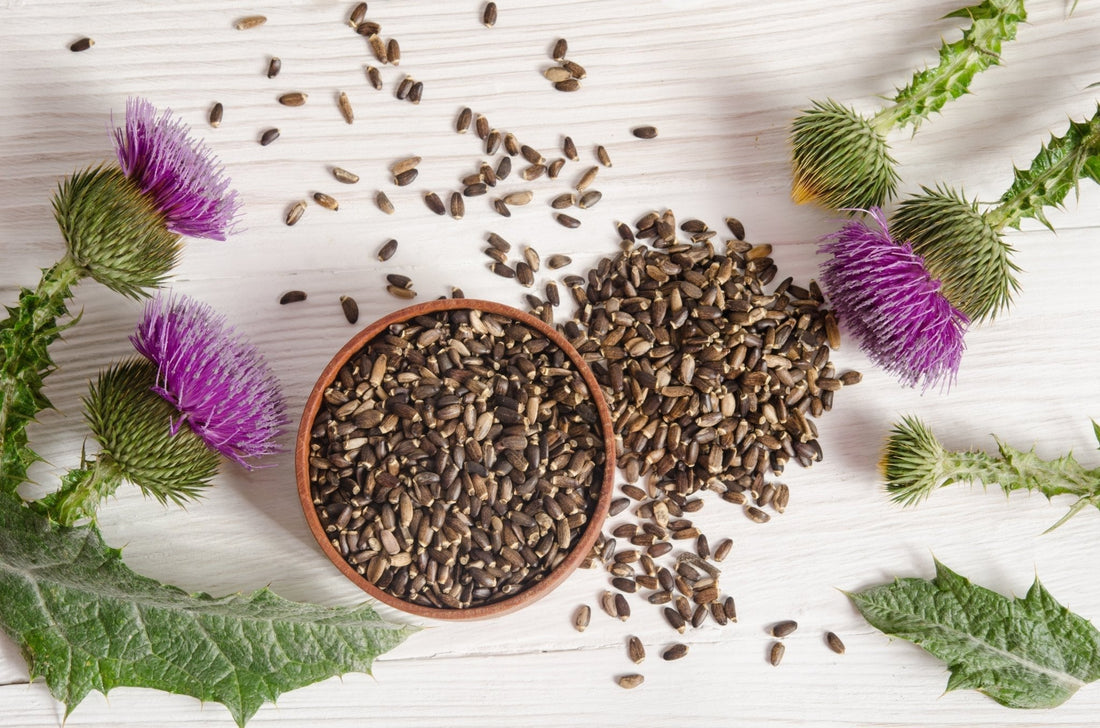 10 Natural Supplements for Healthy Liver Function - Balance ONE