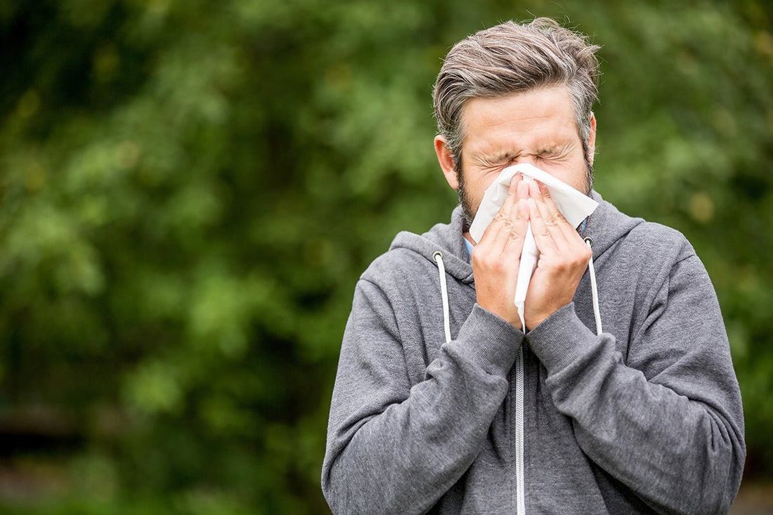 29 Ways To Boost Your Immune System - Balance ONE
