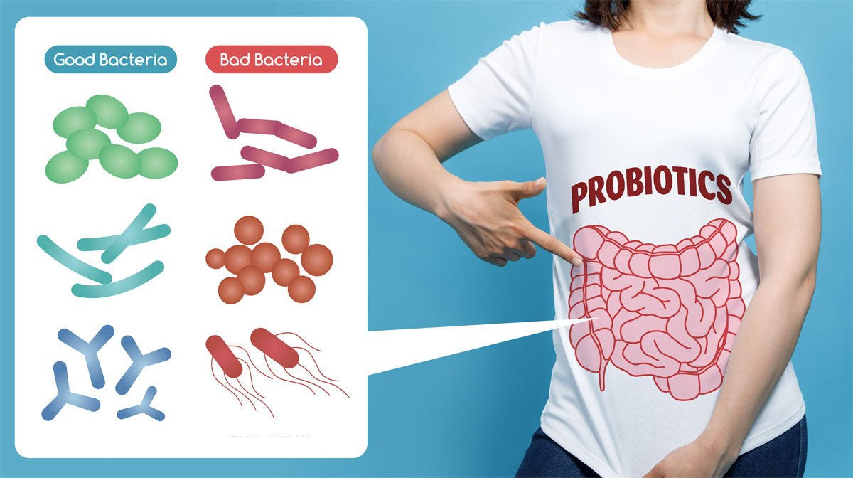 7 Lifestyle Changes for a Healthier Microbiome - Balance ONE