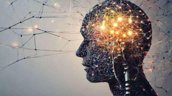 Creatine and Brain Health: What the Research Actually Suggests