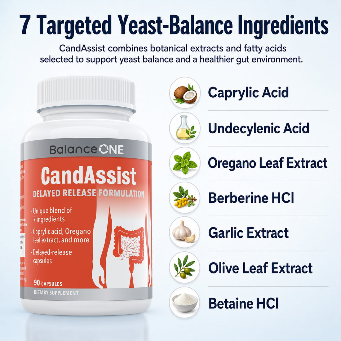 A Calm Focus Stack: Creatine, Theanine, Saffron & Coffee Fruit Explained