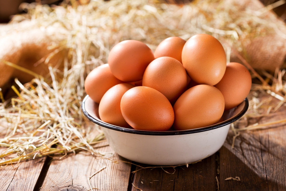Choline: A Vital Micronutrient For Brain Health and More - Balance ONE