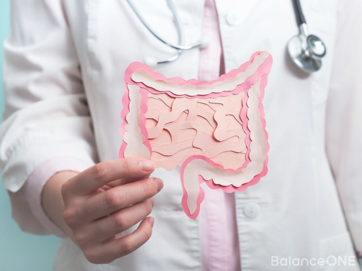 How Does Diet Affect Your Gut Microbiome?