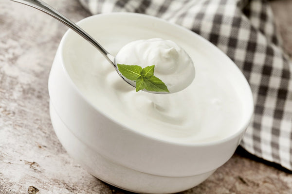 Major Health Benefits of Bifidobacterium longum - Balance ONE
