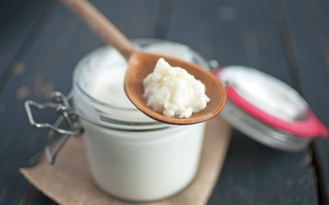 Milk Kefir - Balance ONE