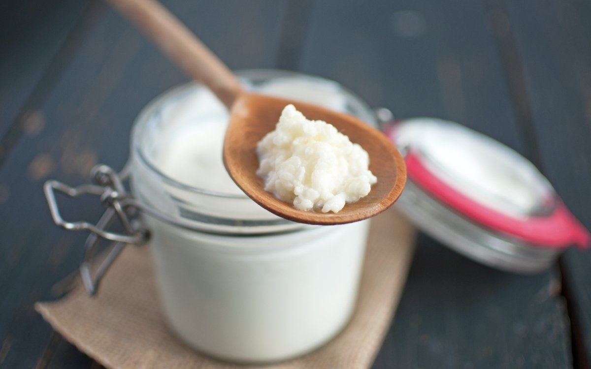 Milk Kefir - Balance ONE