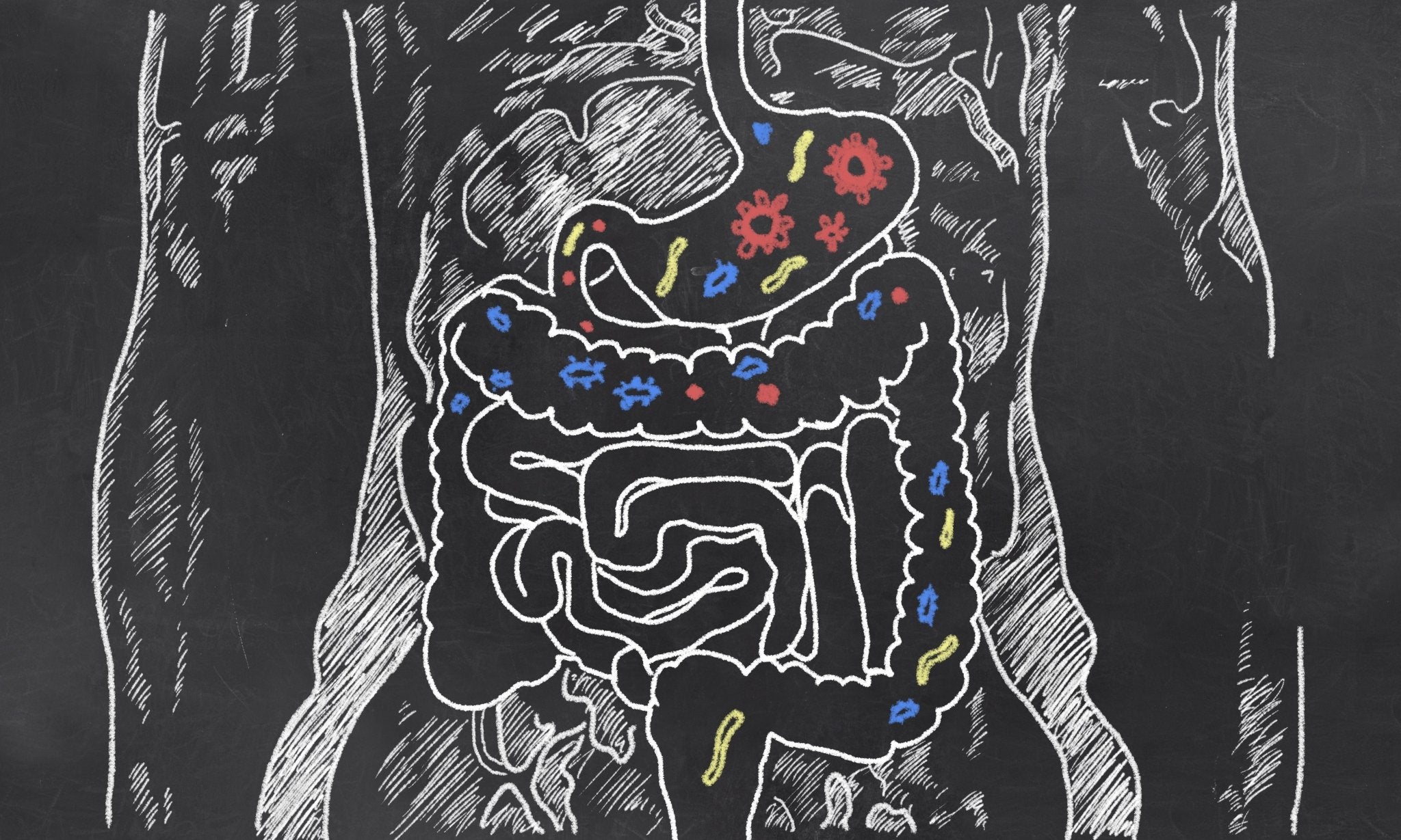 Probiotics and the Keto diet - Balance ONE