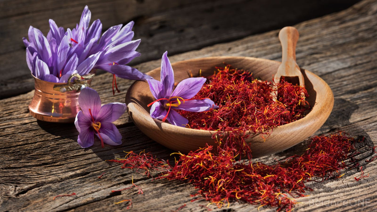 Saffron Extract Benefits: Mood, Focus, and Everyday Mental Wellness