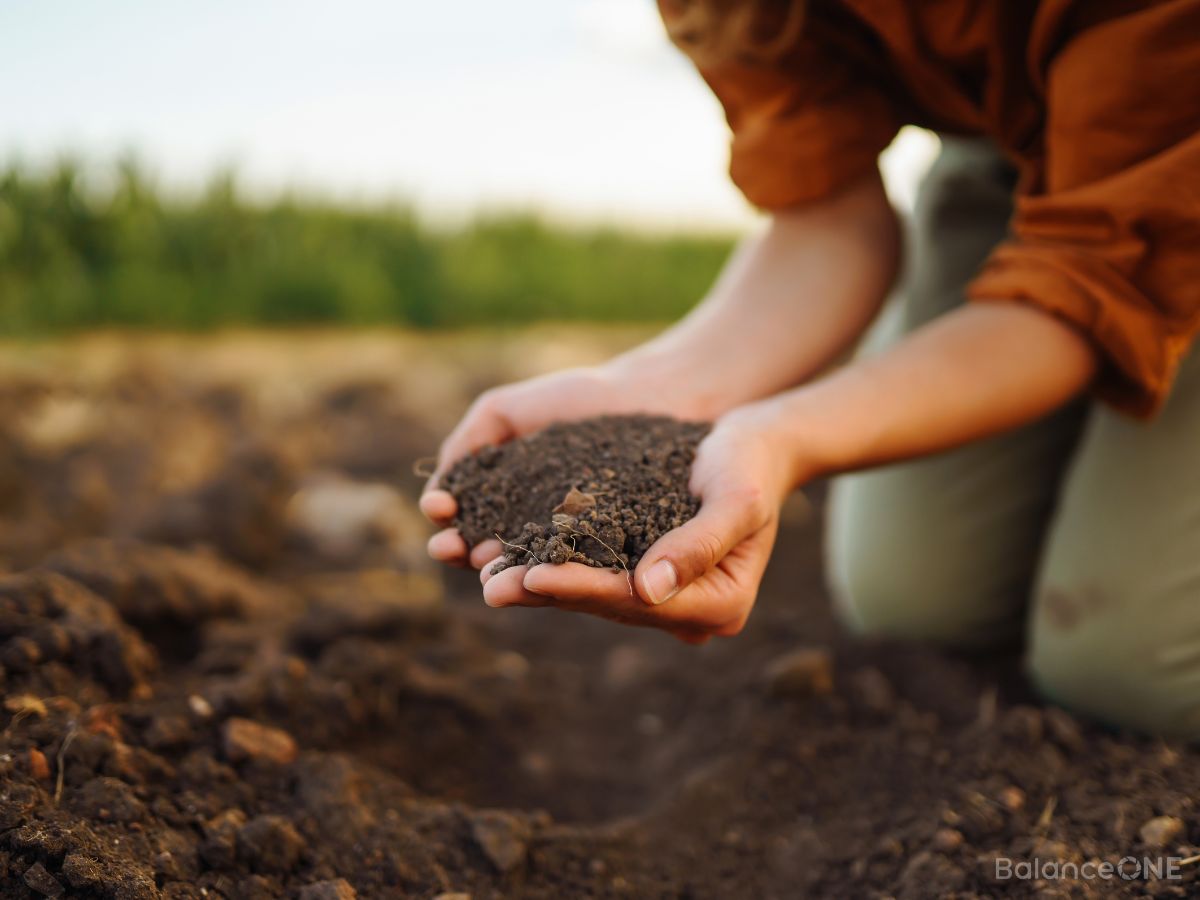 Soil-Based vs. Lactic Acid-Based Probiotics: What’s the Difference?