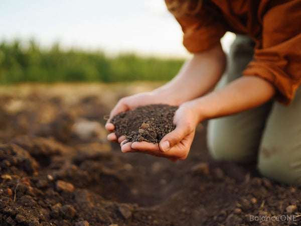 Soil-Based vs. Lactic Acid-Based Probiotics: What’s the Difference? - Balance ONE