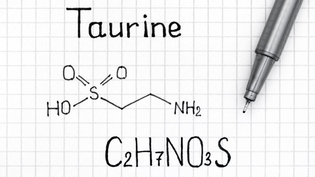 Taurine Benefits: What It Does for Energy, Focus, and Cellular Health