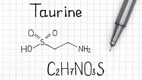 Taurine Benefits: What It Does for Energy, Focus, and Cellular Health