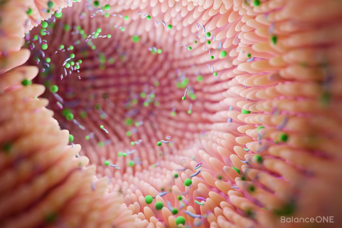 Top 8 Symptoms of Leaky Gut Syndrome