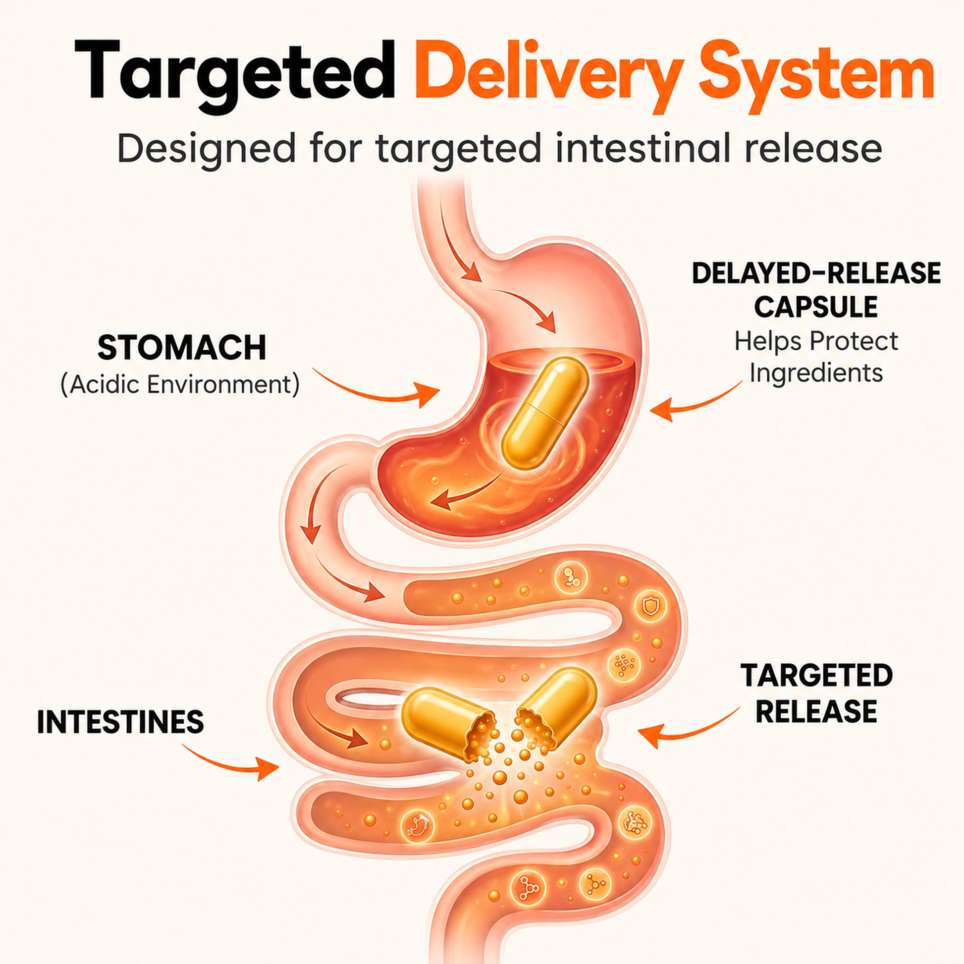CandAssist: Advanced Candida Support