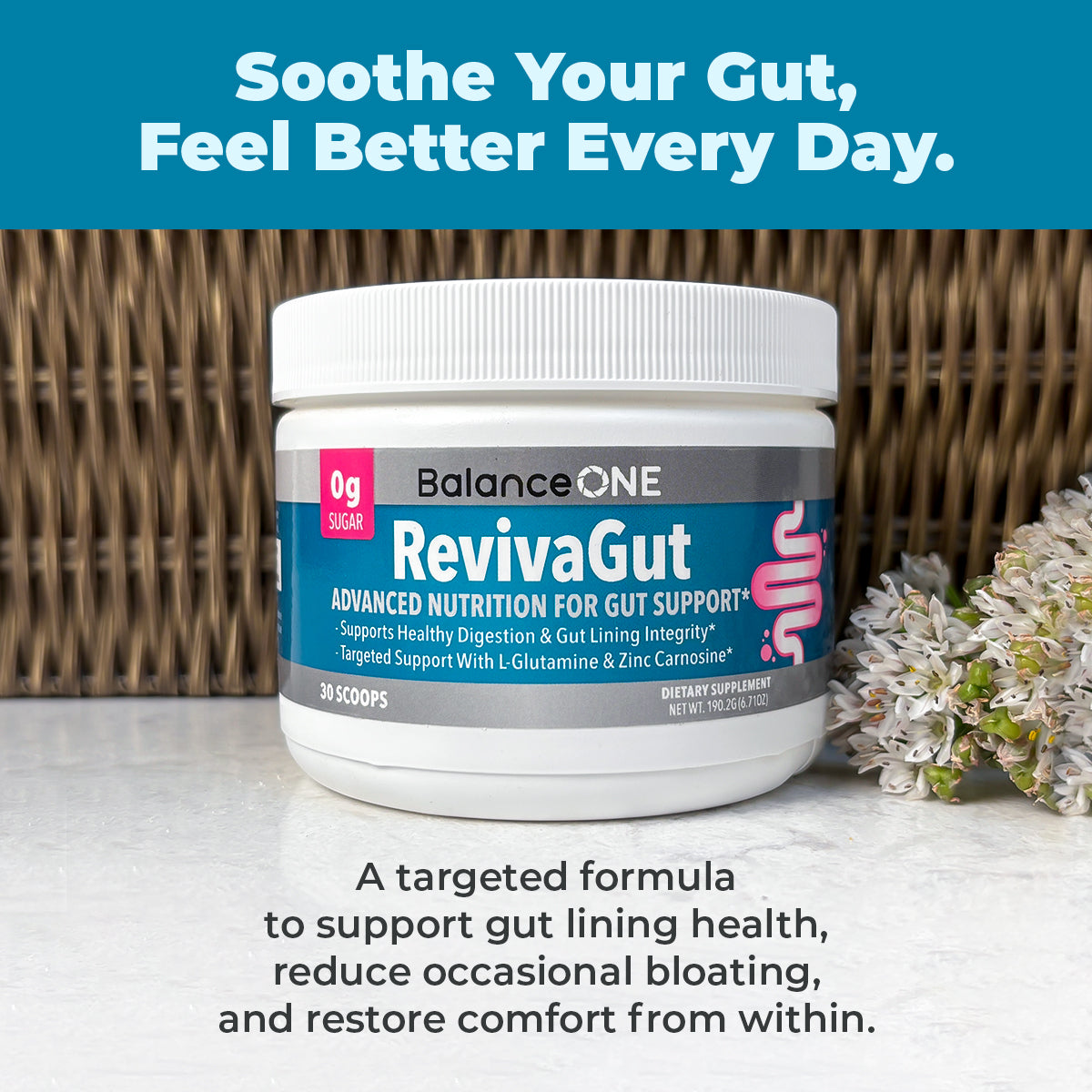 Balance ONE RevivaGut