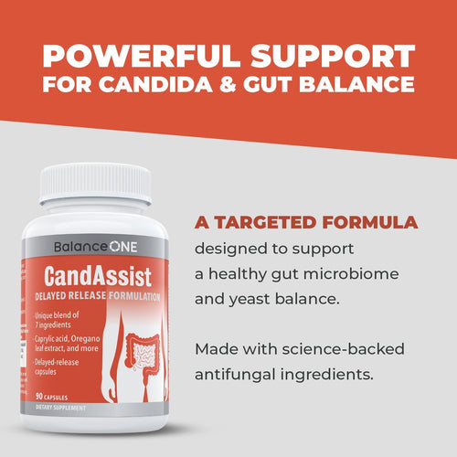 Top 7 Strongest Candida Killers To Fight Candida Overgrowth Balance ONE Top 7 Strongest Candida Killers To Fight Candida Overgrowth Balance ONE