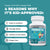 Balance ONE Kids Probiotic - Balance ONE