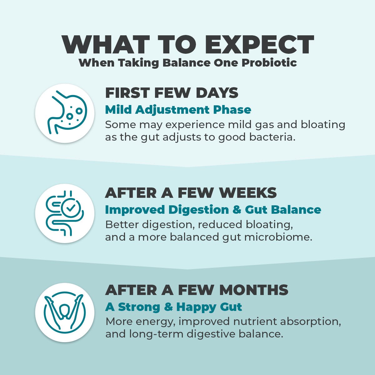 Balance ONE Probiotic - Balance ONE