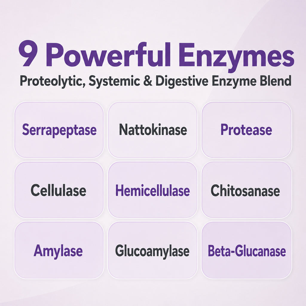 SerraDefend: Systemic Enzyme Support