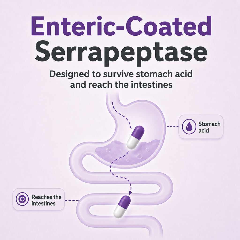 SerraDefend: Systemic Enzyme Support