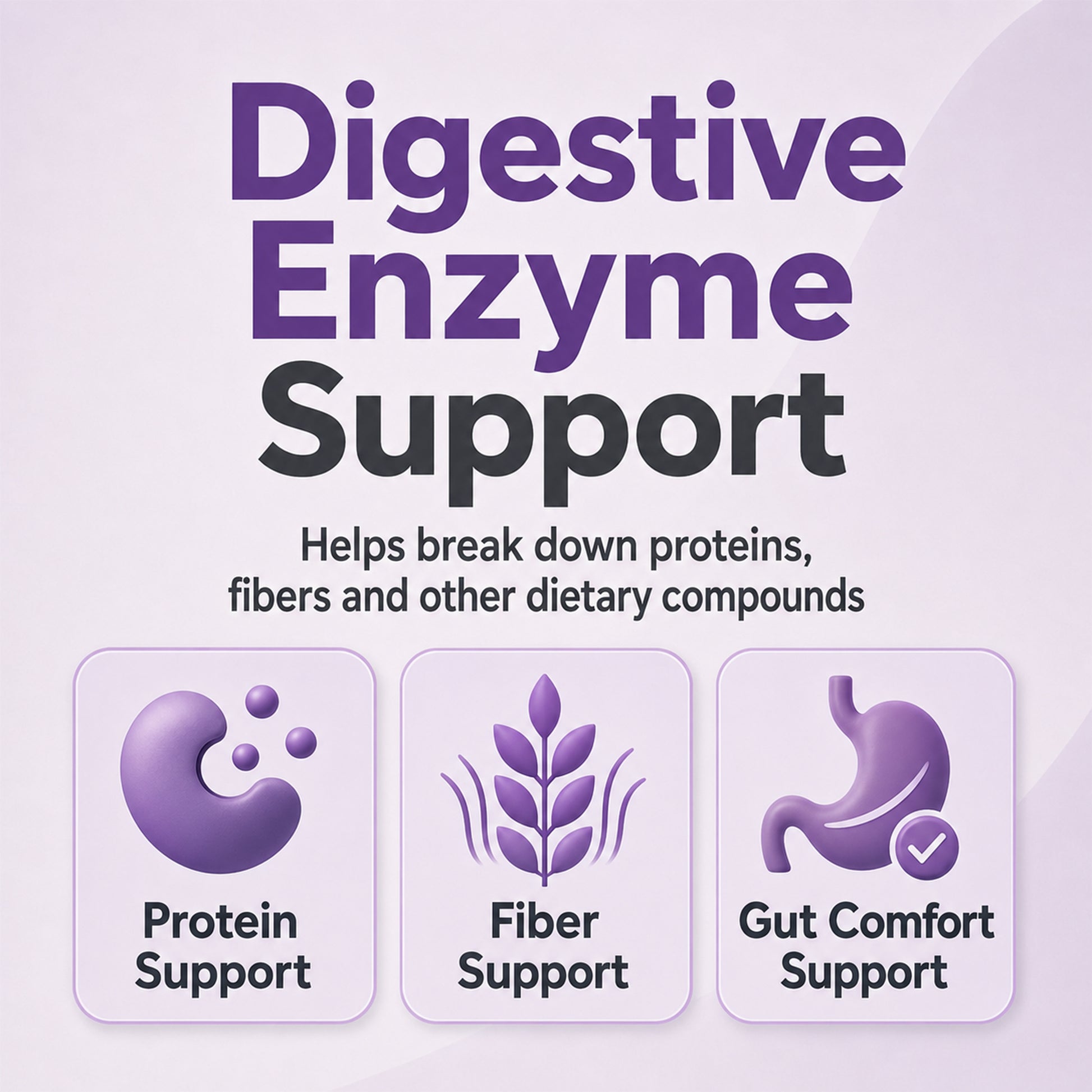 SerraDefend: Systemic Enzyme Support