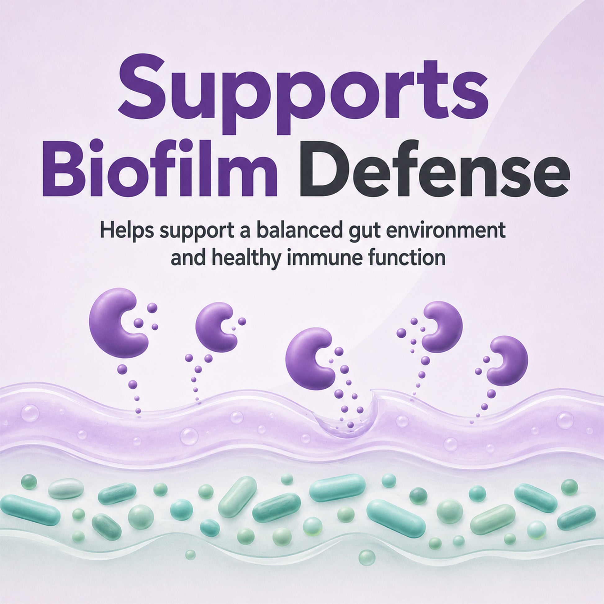 SerraDefend: Systemic Enzyme Support