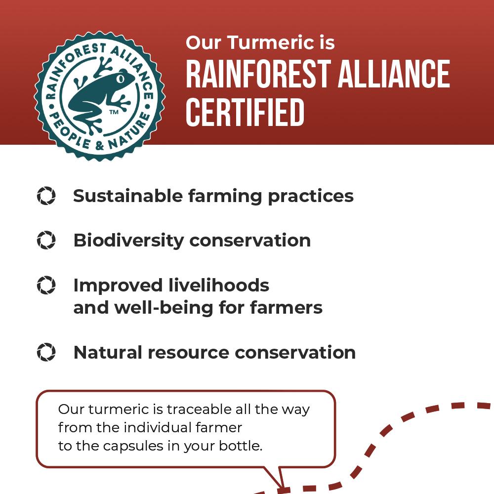 Balance ONE Turmeric Extract - Balance ONE